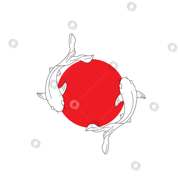 Скачать рыба-карп кои Абстрактный силуэт двух рыб-карпов кои, кружащих в пруду. Векторная иллюстрация Lineart. фотосток Ozero