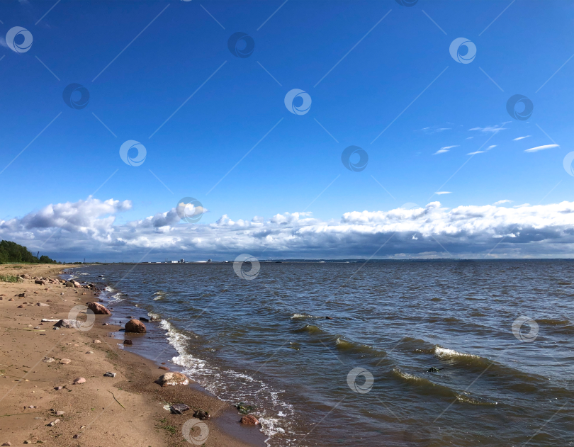Скачать На заливе летом фотосток Ozero