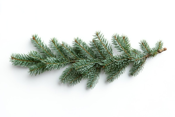 [object Object] undefined