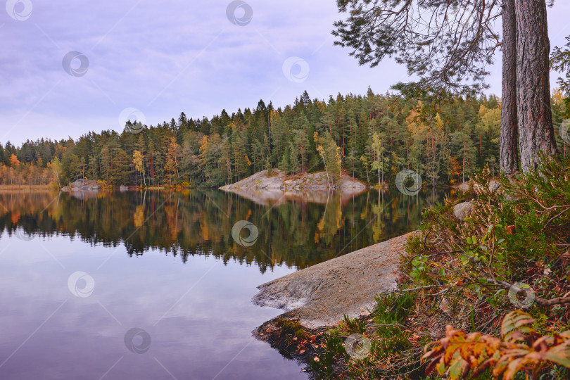 Скачать Идеальное отражение осеннего леса. фотосток Ozero