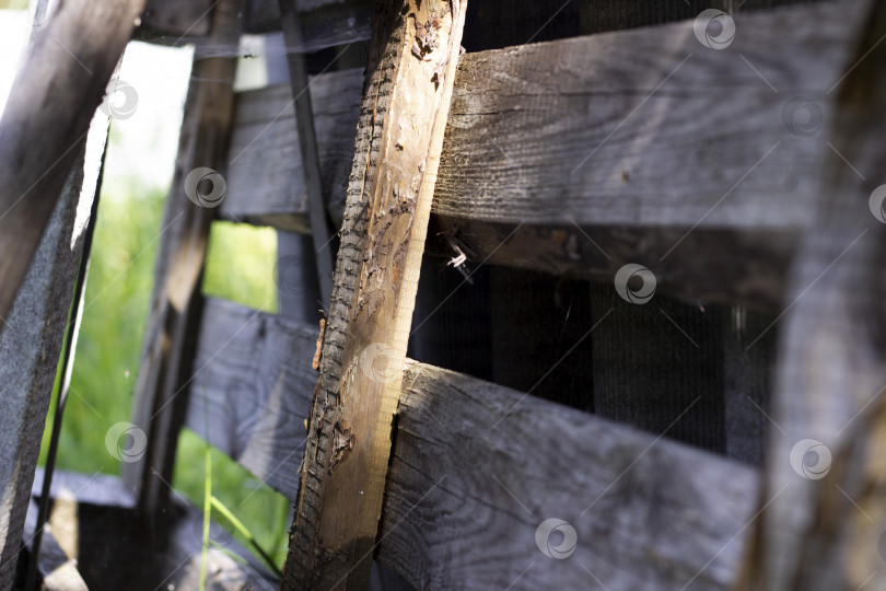 Скачать Горизонтальная и вертикальная деревянная доска с паутиной фотосток Ozero