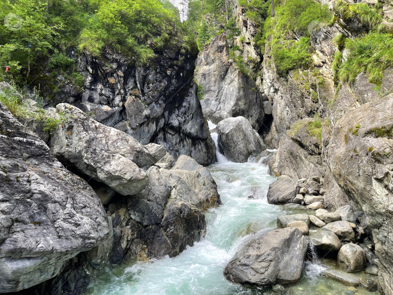 Скачать Бурный поток горной реки, несущийся среди скал, Бурятия, Россия фотосток Ozero