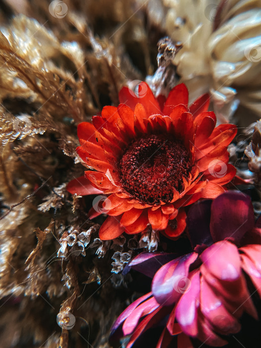 Скачать Красный красивый искусственный цветок на текстурированном размытом фоне с засушенными растениями фотосток Ozero