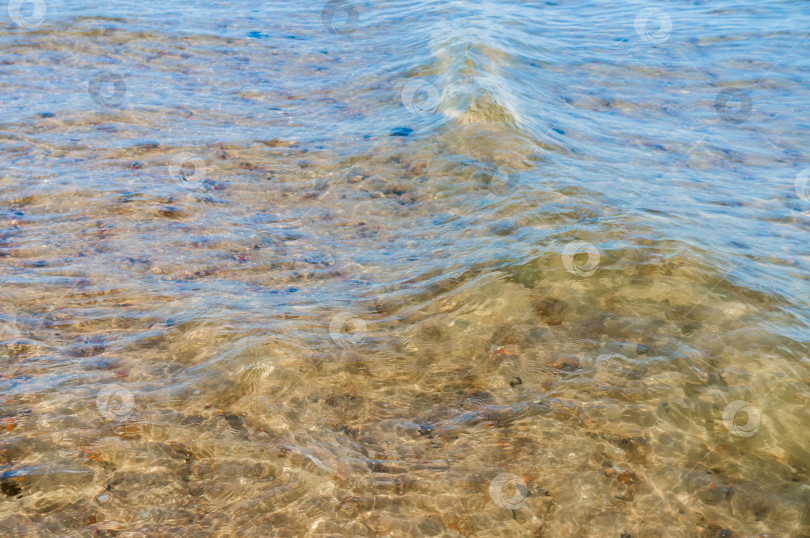 Скачать Фон - прозрачная вода. Вода с желтым оттенком. Дно водоема просвечивает сквозь толщу воды. фотосток Ozero