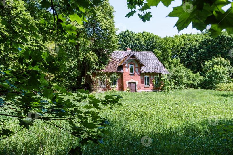 Скачать Дом в лесу. Одинокое здание в лесу. Дом из красного кирпича в лесу. фотосток Ozero