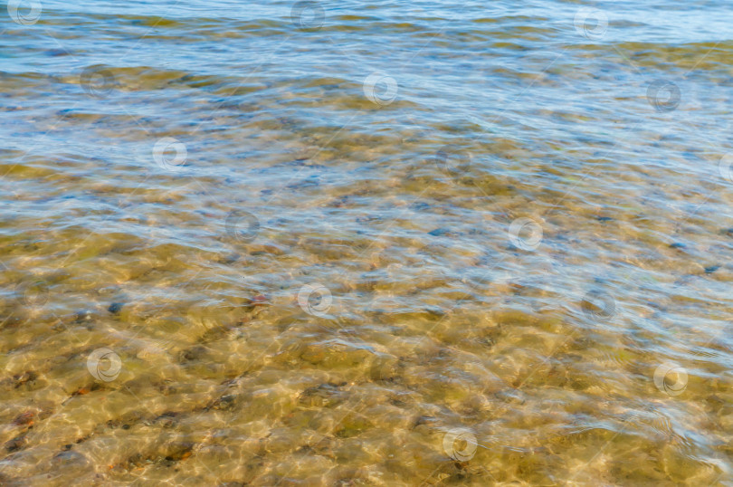 Скачать Фон - прозрачная вода. Вода с желтым оттенком. Дно водоема просвечивает сквозь толщу воды. фотосток Ozero