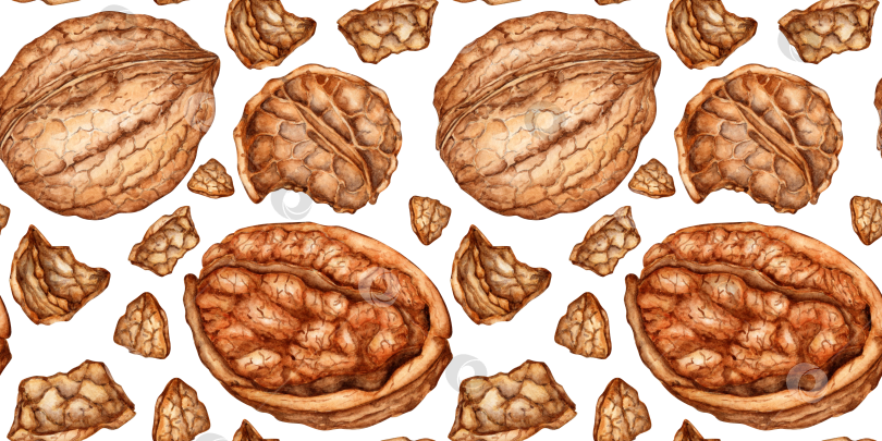 Скачать Рисунок из ядер и скорлупы грецких орехов акварелью фотосток Ozero