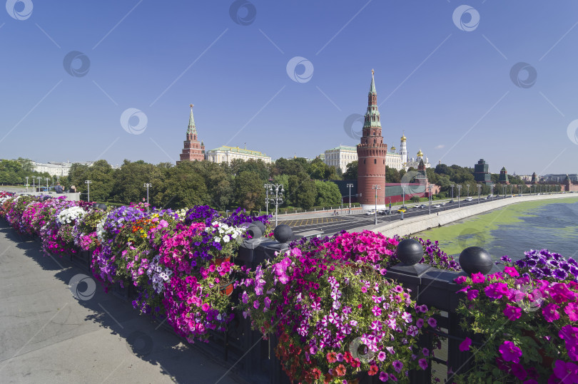 Скачать Перила Большого каменного моста, украшенные цветущими петуниями. Москва. фотосток Ozero