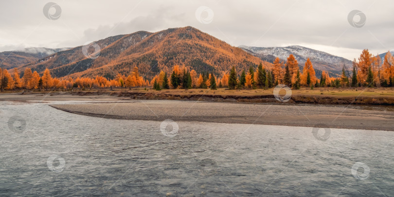 Скачать Утренняя спокойная река с осенними деревьями. фотосток Ozero