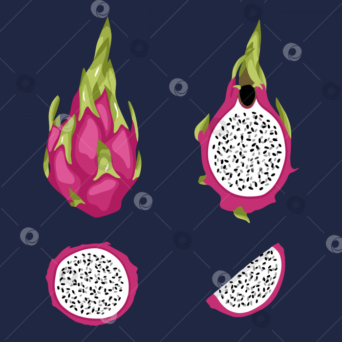 Скачать Элементы векторной иллюстрации Dragon fruit pitaya фотосток Ozero