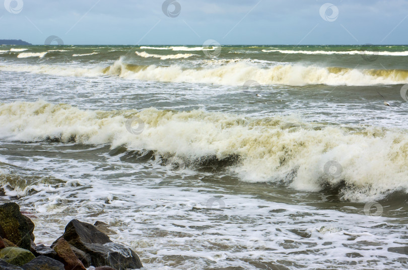 Скачать Приливы и штормы на море. Морское побережье. Волны на Балтийском море. Пустынный морской берег. фотосток Ozero