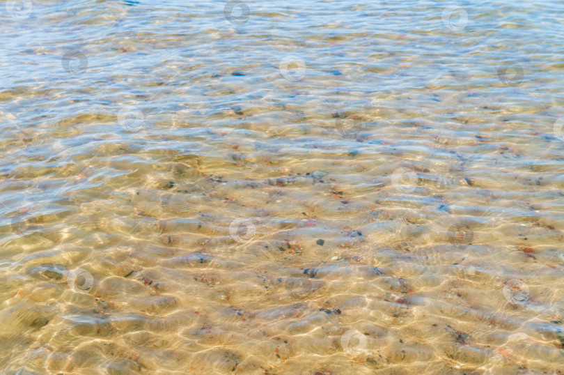 Скачать Фон - прозрачная вода. Вода с желтым оттенком. Дно водоема просвечивает сквозь толщу воды. фотосток Ozero