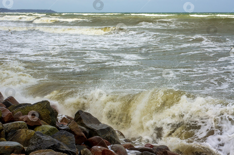 Скачать Приливы и штормы на море. Морское побережье. Волны на Балтийском море. Пустынный морской берег. фотосток Ozero