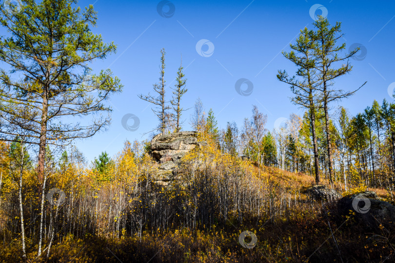 Скачать Древние горы Хакасии. Каменный парк фотосток Ozero