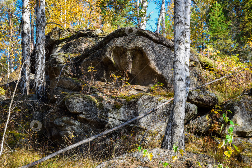 Скачать Древние горы Хакасии. Каменный парк фотосток Ozero