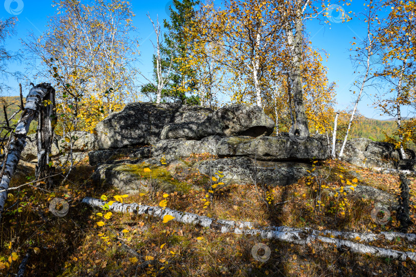 Скачать Древние горы Хакасии. Каменный парк фотосток Ozero