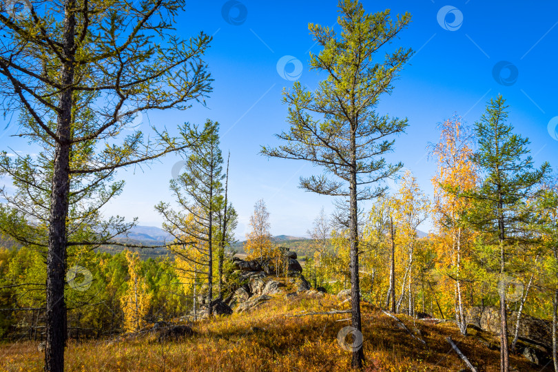 Скачать Древние горы Хакасии. Каменный парк фотосток Ozero