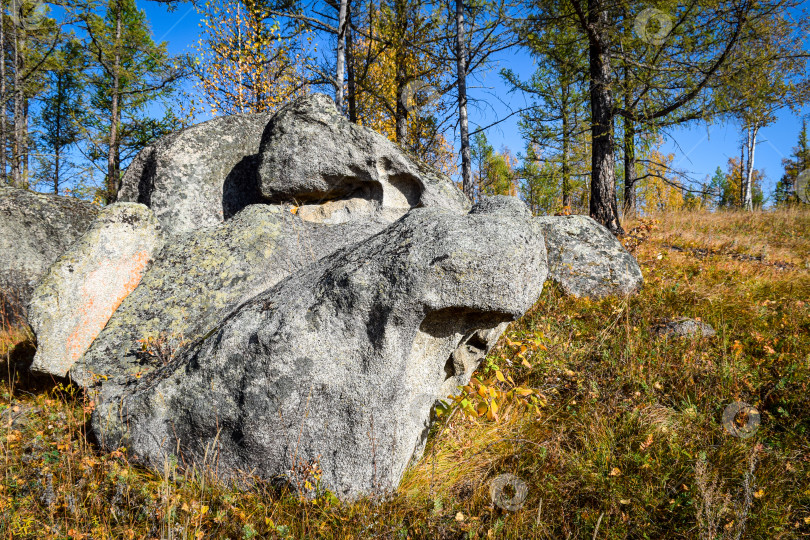 Скачать Древние горы Хакасии. Каменный парк фотосток Ozero