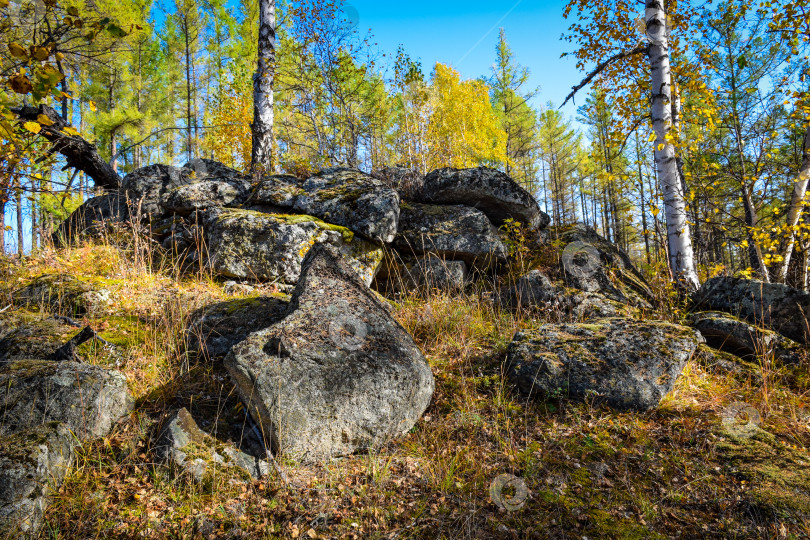 Скачать Древние горы Хакасии. Каменный парк фотосток Ozero