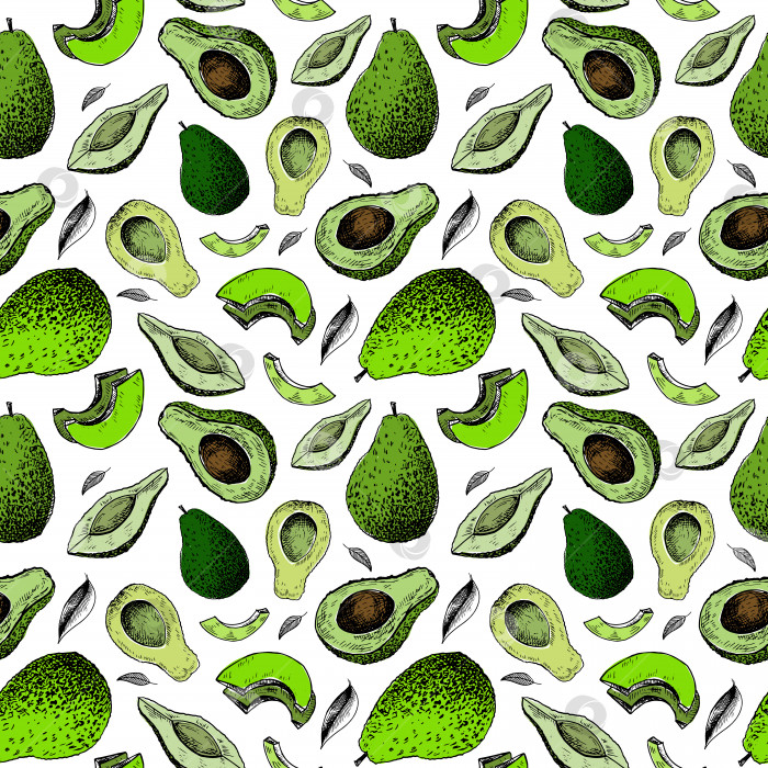 Скачать Узор из авокадо. Нарисованный от руки зеленый авокадо на прозрачном фоне. Бесшовный векторный фон фотосток Ozero
