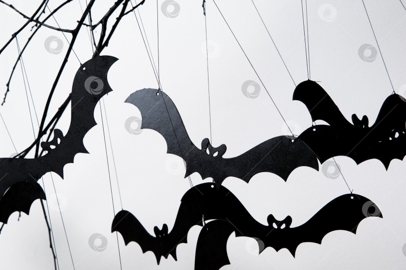 Скачать хэллоуин и много летучих мышей фотосток Ozero