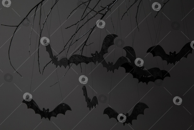 Скачать хэллоуин и много летучих мышей фотосток Ozero