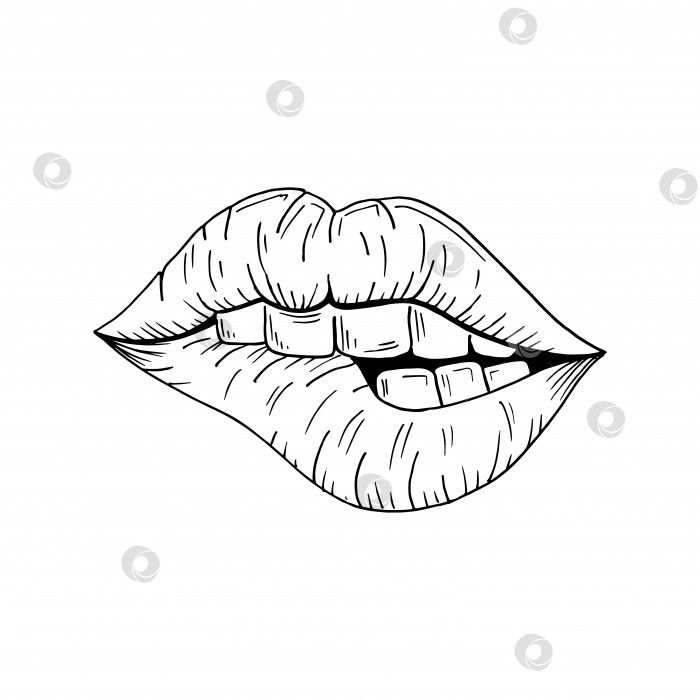Скачать Набросок губ. Векторная иллюстрация рот, зубы кусают губы. Нарисованный от руки, выделенный на белом фоне фотосток Ozero