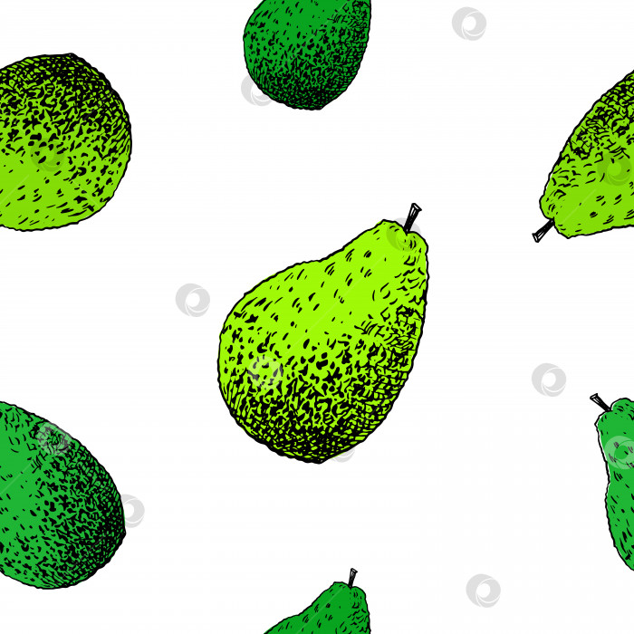 Скачать Узор из авокадо. Нарисованный от руки зеленый авокадо на прозрачном фоне. Бесшовный векторный фон фотосток Ozero