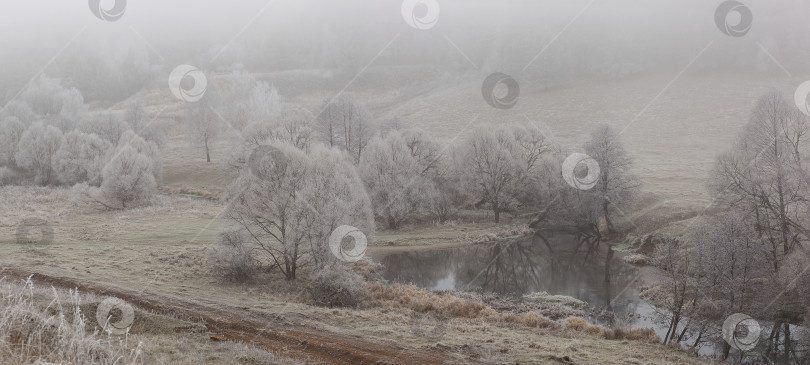 Скачать Панорама осеннего леса. фотосток Ozero