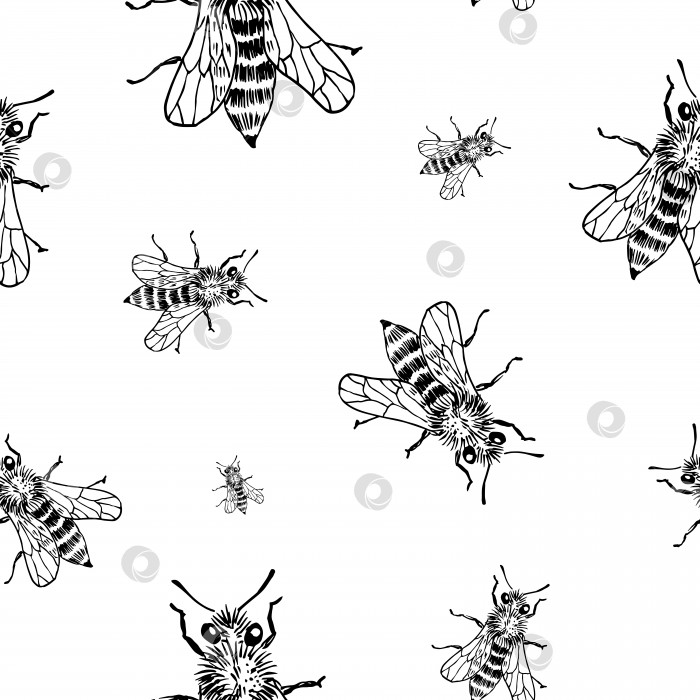 Скачать Рисунок пчелиного наброска. Нарисованные вручную насекомые-пчелы на прозрачном фоне. Бесшовный векторный фон фотосток Ozero