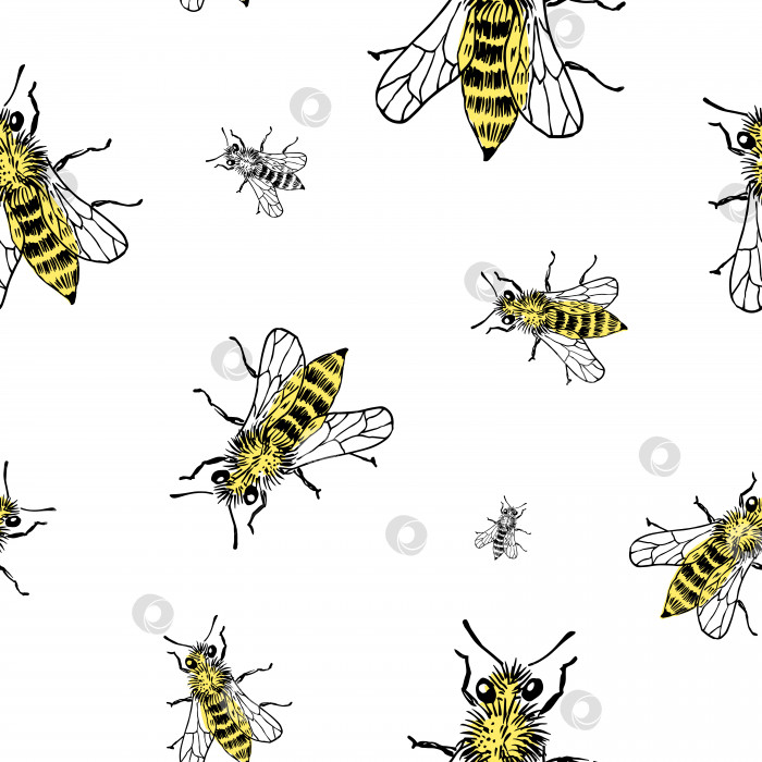 Скачать Узор для наброска пчелы. Нарисованные от руки насекомые-пчелы на прозрачном фоне. Бесшовный векторный фон. фотосток Ozero