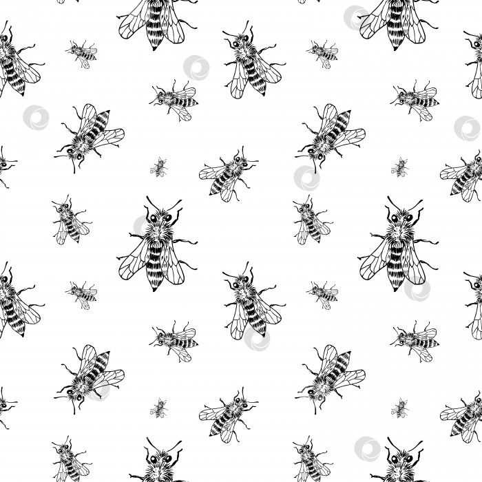 Скачать Узор для наброска пчелы. Нарисованные от руки насекомые-пчелы на прозрачном фоне. Бесшовный векторный фон. фотосток Ozero