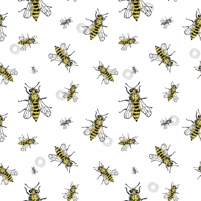 Скачать Рисунок пчелиного эскиза. Нарисованные от руки насекомые-пчелы на прозрачном фоне. Бесшовный векторный фон. фотосток Ozero