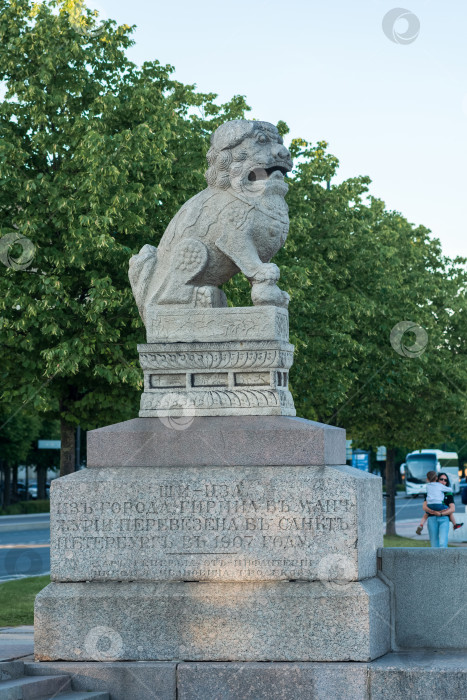 Скачать каменный лев-хранитель на Петровской набережной в Санкт-Петербурге фотосток Ozero