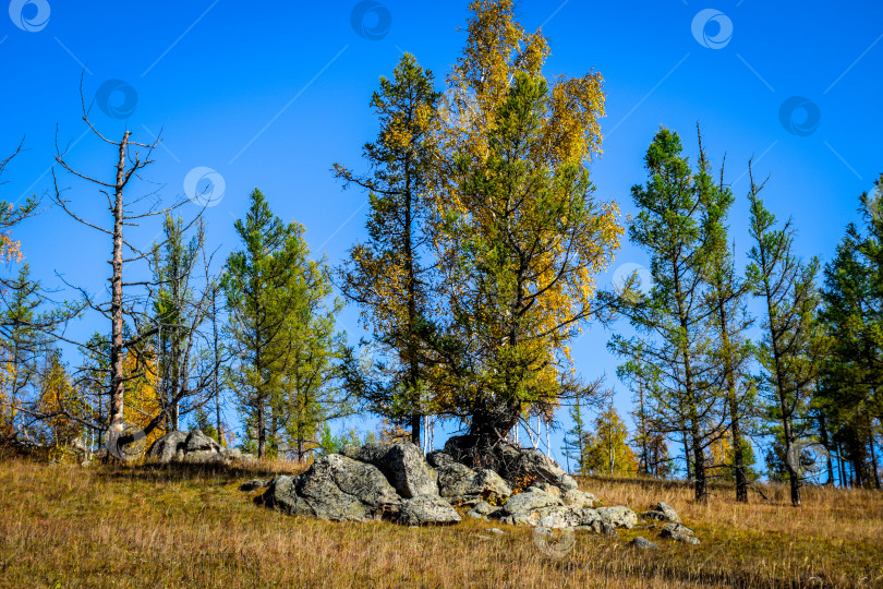 Скачать Древние горы Хакасии. Каменный парк фотосток Ozero