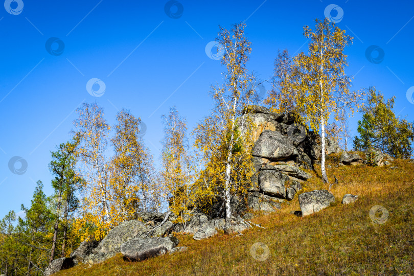 Скачать Древние горы Хакасии. Каменный парк фотосток Ozero