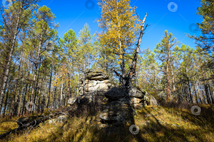 Скачать Древние горы Хакасии. Каменный парк фотосток Ozero