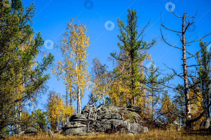 Скачать Древние горы Хакасии. Каменный парк фотосток Ozero