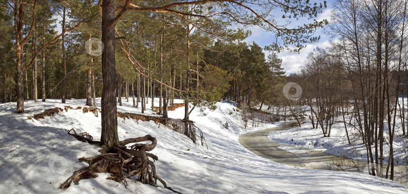 Скачать Панорама лесной реки зимой. фотосток Ozero