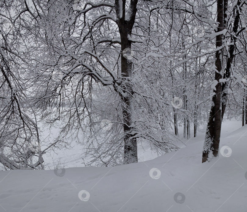 Скачать Зимний пейзаж. фотосток Ozero