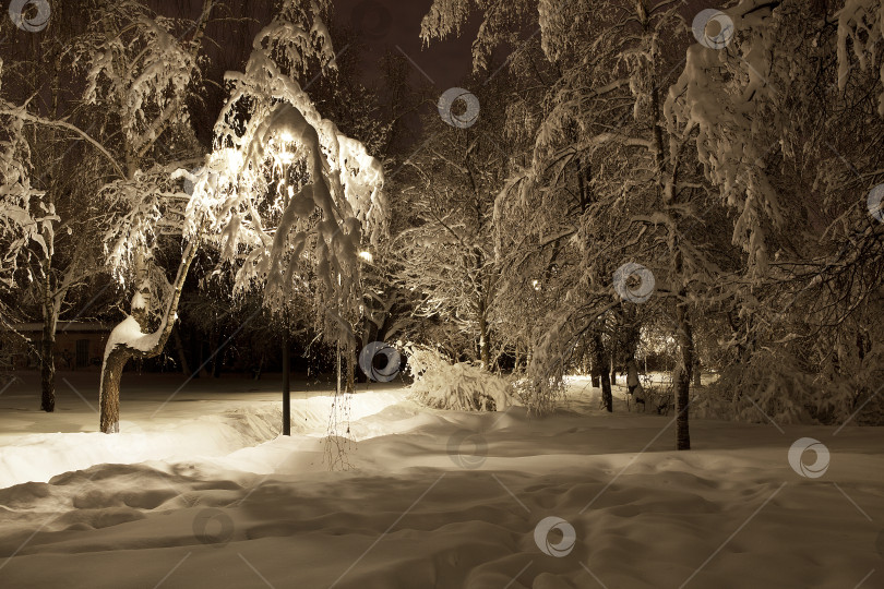 Скачать Зимний пейзаж. фотосток Ozero