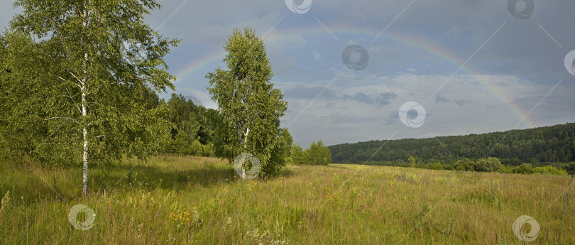 Скачать Панорама леса с радугой. фотосток Ozero