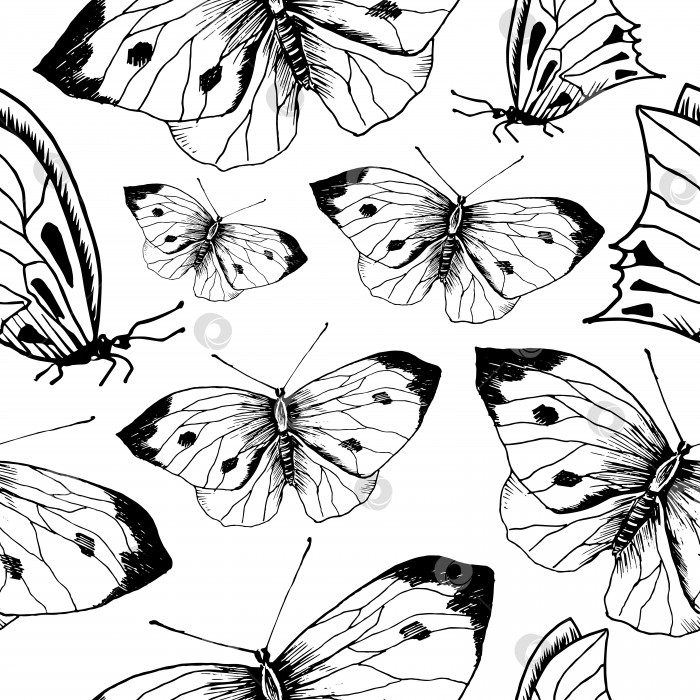 Скачать Эскиз бабочки с рисунком. Нарисованные от руки бабочки-насекомые на прозрачном фоне. Бесшовный векторный фон. фотосток Ozero