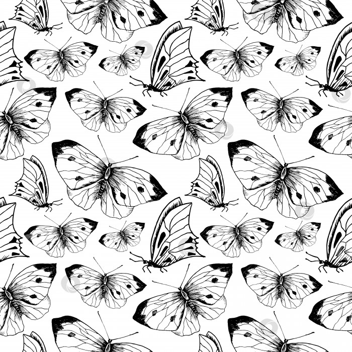 Скачать Эскиз бабочки с рисунком. Нарисованные от руки бабочки-насекомые на прозрачном фоне. Бесшовный векторный фон фотосток Ozero