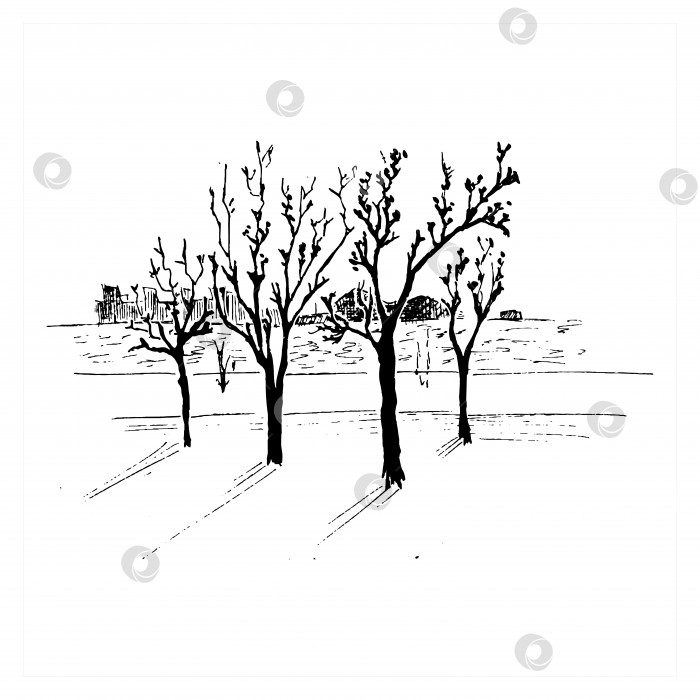 Скачать Пейзажный набросок. Деревья в парке у реки. Нарисованный от руки фрагмент городского пейзажа. Черная векторная иллюстрация, изолированная на белом фоне фотосток Ozero