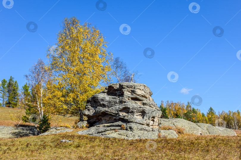 Скачать Древние горы Хакасии. Каменный парк фотосток Ozero