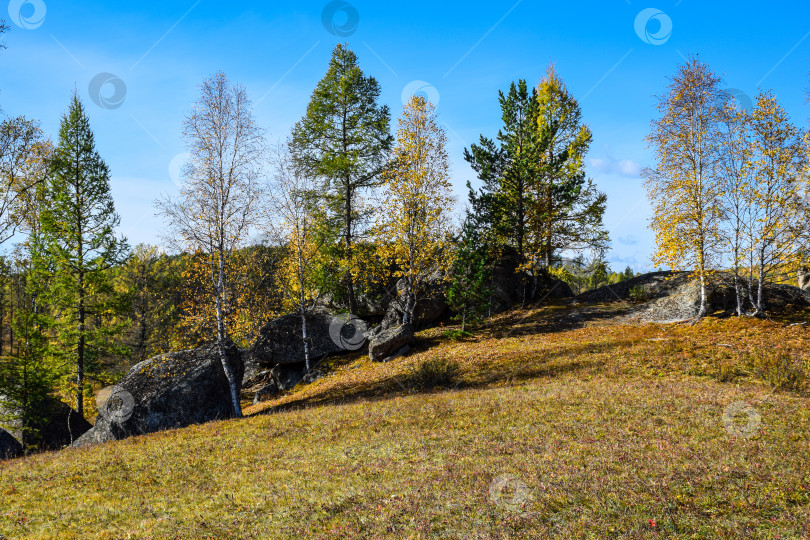 Скачать Древние горы Хакасии. Каменный парк фотосток Ozero