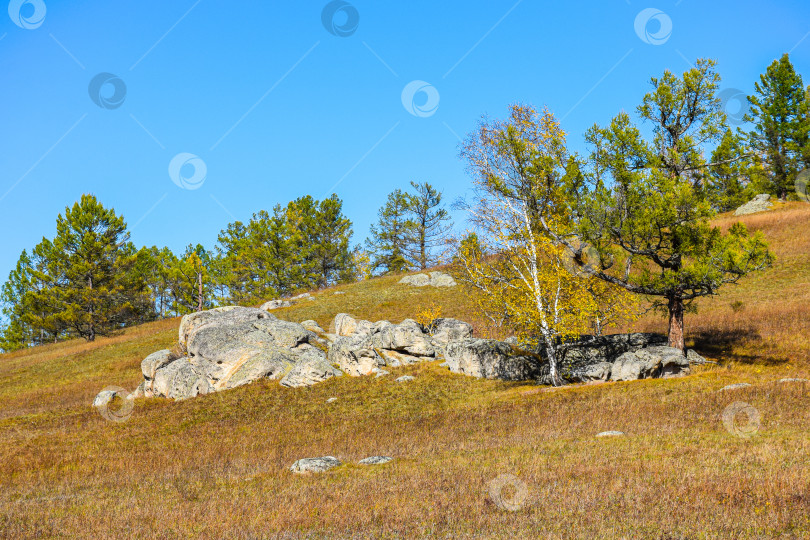 Скачать Древние горы Хакасии. Каменный парк фотосток Ozero