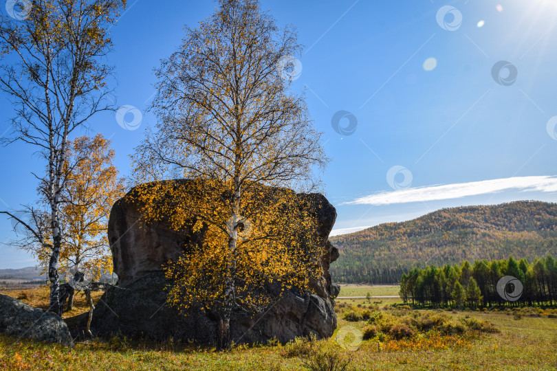 Скачать Древние горы Хакасии. Каменный парк фотосток Ozero