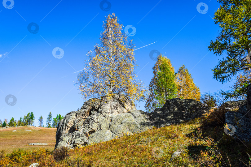 Скачать Древние горы Хакасии. Каменный парк фотосток Ozero